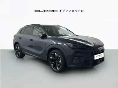 Usado Cupra Terramar