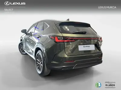 Nuevo Lexus NX450h+ 292 CV (214 kW) 2026 Verde SUV