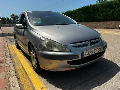 Usado Peugeot 307