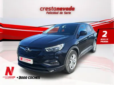 Usado Opel Grandland X Selective 131 HP (96 kW) 2019 Preto SUV
