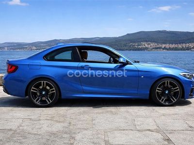 Azul Usado 2014 BMW 220 Coupe | 22.500 € (Caro)