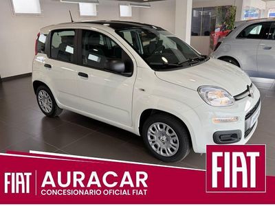 Novo Fiat Panda Icon 100 HP (73 kW) 2025 Branco Citadino