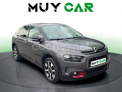 Usado Citroën C4 Cactus Live 99 CV (72 kW) 2019 Gris Utilitario