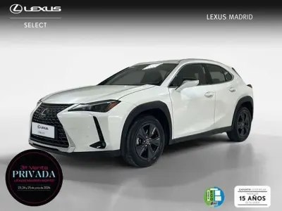 Usado Lexus UX 300h 199 CV (146 kW) 2025 Blanco SUV