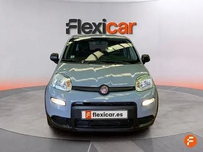 Occasion Fiat Panda 70 PK (51 kW) 2023 Grijs Hatchback