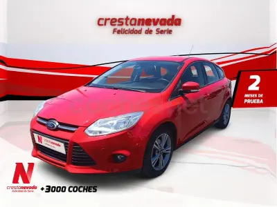 Usado Ford Focus Trend 125 CV (91 kW) 2014 Rojo Berlina