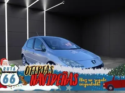 Usado Peugeot 307 110 CV (80 kW) 2006 Gris Utilitario