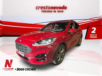 Usado Ford Kuga ST-Line 150 CV (110 kW) 2020 SUV