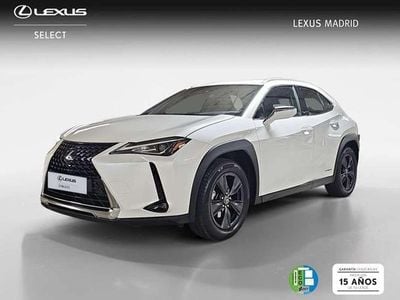Usado Lexus UX 250h Business Edition 185 CV (136 kW) 2022 Blanco SUV