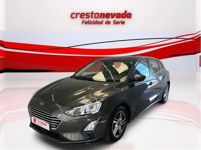 Usado Ford Focus Trend+ 120 CV (88 kW) 2020 Gris
