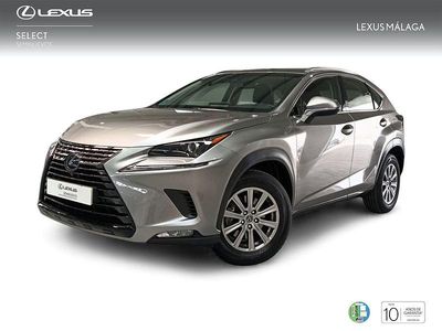 Usado Lexus NX300h Business Edition 197 CV (144 kW) 2019 Gris SUV