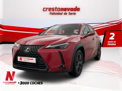 Usado Lexus UX Business Edition 152 CV (111 kW) 2022 SUV