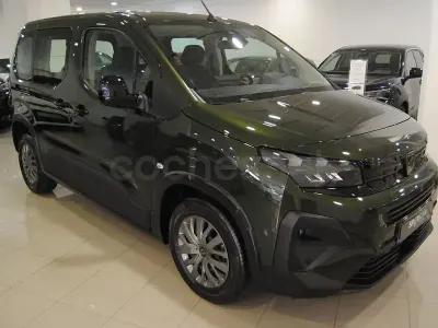 Usado Peugeot Rifter