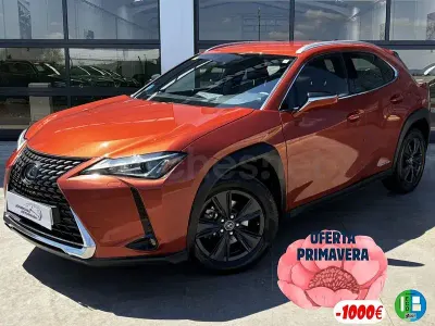 Usado Lexus UX Business Edition 184 CV (135 kW) 2020 Naranja SUV