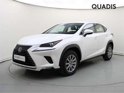 usado Lexus NX300 300h Business Navigation 2WD