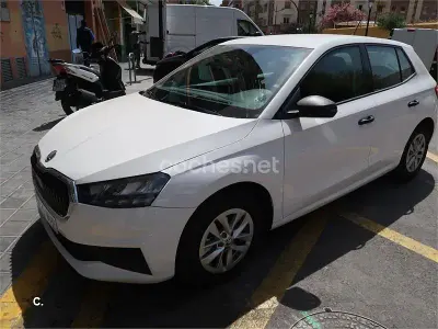 Brugt Skoda Fabia