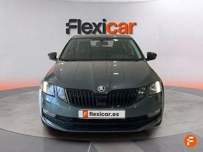 Occasion Skoda Octavia Ambition 150 ch (110 kW) 2019 Gris