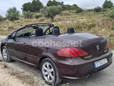Usado Peugeot 307 CC 138 CV (101 kW) 2005 Granate Descapotable