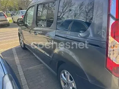 Usado Ford Tourneo Connect