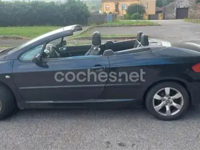 Usado Peugeot 307 CC 138 CV (101 kW) 2006 Negro Descapotable