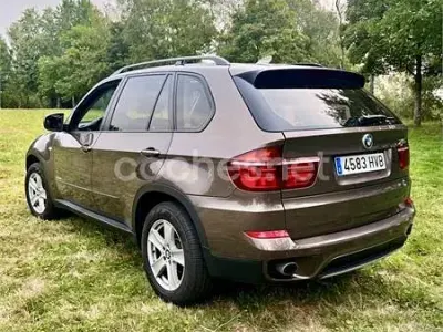 Usado BMW X5 306 CV (225 kW) 2013 Marrón SUV