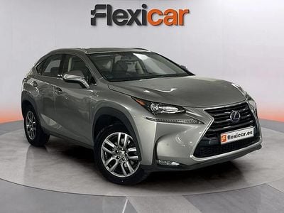 Usado Lexus NX300h Business Edition 197 CV (144 kW) 2017 Gris SUV