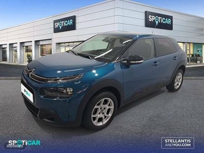 Azul Usado 2018 Citroën C4 Cactus Feel Utilitario | 14.350 € (Caro)