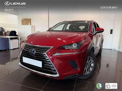 Usado Lexus NX300h Business Edition 197 CV (144 kW) 2020 Burdeos SUV