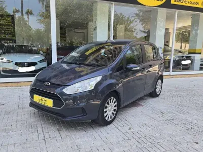Usado Ford B-MAX Trend 100 CV (73 kW) 2013 Gris / plata Monovolumen