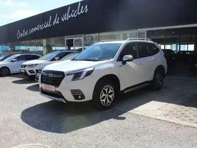 Usado Subaru Forester