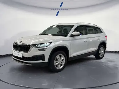 Usado Skoda Kodiaq