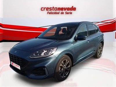 Usado Ford Kuga ST-Line X 150 CV (110 kW) 2021 SUV