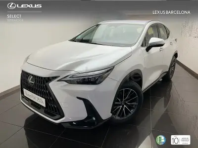 Usado Lexus NX350h 197 CV (144 kW) 2026 Blanco SUV