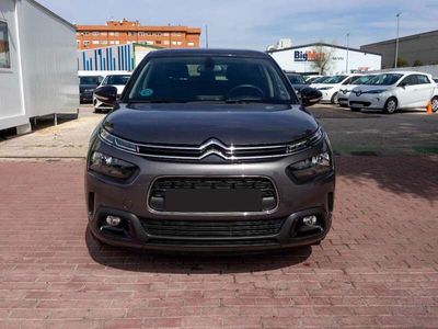 usado Citroën C4 Cactus 1.6 BlueHDi Shine 100