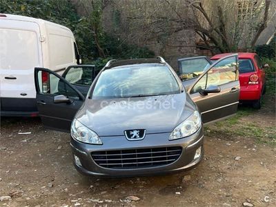 Gris / plata Usado 2009 Peugeot 407 Sport Familiar | 6500 € (Caro)