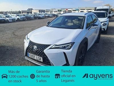Usado Lexus UX 250h Business Edition 184 CV (135 kW) 2020 Blanco SUV