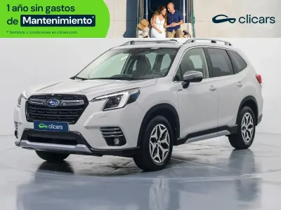 Usado Subaru Forester