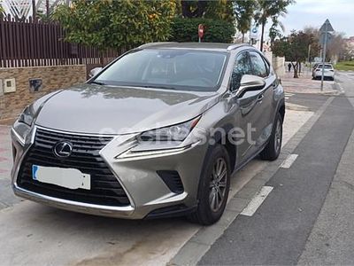 Usado Lexus NX300h Business Edition 197 CV (144 kW) 2020 Gris / plata SUV