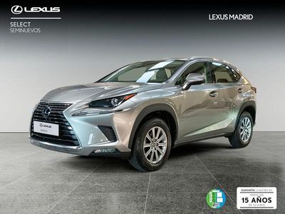 Usado Lexus NX300h Business Edition 197 CV (144 kW) 2020 Gris SUV