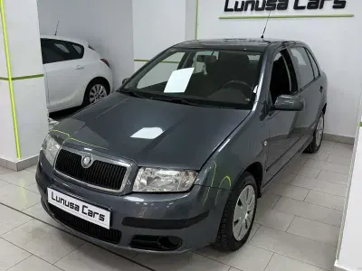 Usado Skoda Fabia