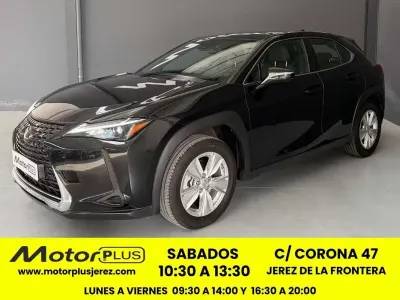 Usado Lexus UX 250h Business Edition 184 CV (135 kW) 2022 Negro SUV