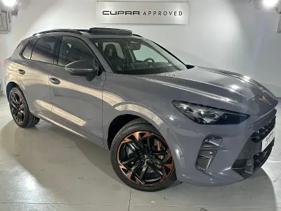 Usado Cupra Terramar