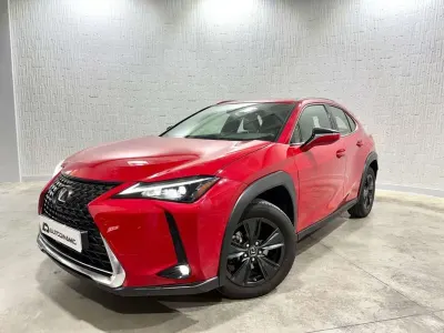 Usado Lexus UX 250h Business Edition 184 CV (135 kW) 2022 Rojo SUV