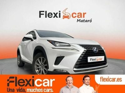 Lexus NX300h