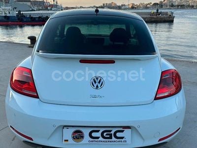 VW Beetle