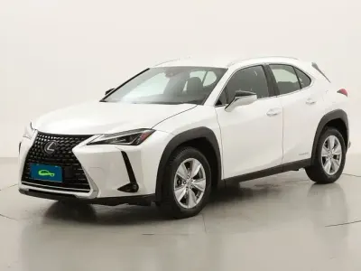 Usado Lexus UX 250h Business Edition 184 CV (135 kW) 2022 SUV