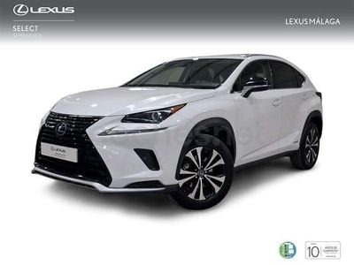 Usado Lexus NX300h 197 CV (144 kW) 2021 Blanco SUV