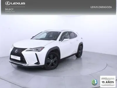 Usado Lexus UX 250h