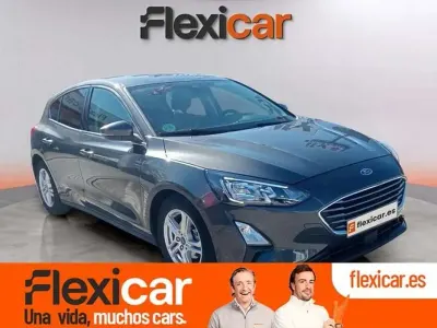 Usado Ford Focus Trend+ 125 CV (91 kW) 2019 Gris Utilitario