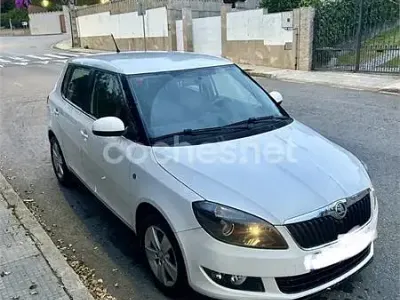 Usado Skoda Fabia